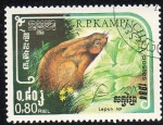 Stamps Cambodia -  Liebre