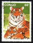Sellos de Africa - Rep�blica del Congo -  Tigre