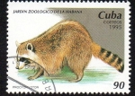 Stamps Cuba -  Jardín zoológico de La Habana - Mapache 