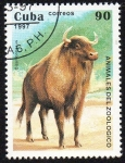 Stamps Cuba -  Animales del zoológico - Bisonte europeo
