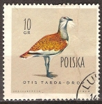 Stamps Poland -   Avutarda.