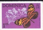 Stamps : America : Dominica :  Lycorea Ceres