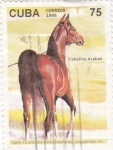 Stamps Cuba -  Caballos Arabes