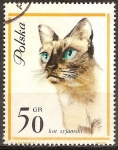 Stamps Poland -  Gato  Siamés.