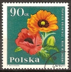 Sellos de Europa - Polonia -  Jardin de flores.(Amapolas).