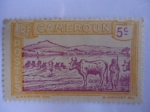 Sellos de Africa - Camer�n -  Cruce de un rebaño.-Cameroun.