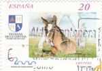 Stamps Spain -  Caballos Cartujanos  3608            (F)