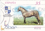 Stamps Spain -  Caballos Cartujanos 3609A    (F)