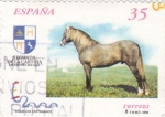 Stamps Spain -  Caballos Cartujanos 3609    (F)
