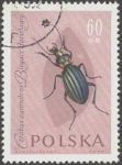 Stamps Poland -  Protección de insectos útiles, 