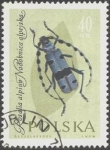 Sellos de Europa - Polonia -  Protección de insectos útiles, 