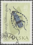 Stamps : Europe : Poland :  Protección de insectos útiles, "rosaha alpina"