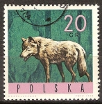 Stamps Poland -  