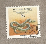 Stamps Hungary -  Natrix natrix