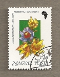 Stamps Hungary -  Flora africana