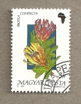 Sellos de Europa - Hungra -  Flora africana