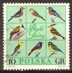 Sellos del Mundo : Europa : Polonia :  Aves Forestales (juego de piezas).