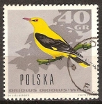 Stamps Poland -  Oropéndola Europea (Oriolus Oriolus).