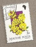 Stamps Hungary -  Flora africana