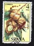 Sellos de Europa - Espa�a -  Flora - Castaño