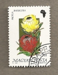 Stamps Hungary -  Flora africana