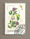 Stamps Hungary -  Flora americana