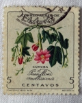 Stamps Colombia -  flores