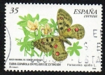 Sellos de Europa - Espa�a -  Fauna española en peligro de extinción - Parnassius Apollo