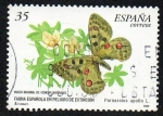Sellos de Europa - Espaa -  Fauna española en peligro de extinción - Parnassius Apollo
