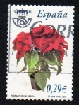 Stamps Spain -  Flora y Fauna - Flor de Pascua