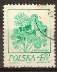 Stamps Poland -  Dibujos de S. Wyspianski. Trébol.