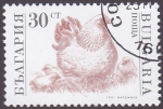 Sellos de Europa - Bulgaria -  gallina