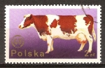 Stamps Poland -  20a Congreso de la Federación Europea de Zootecnia,de Varsovia(Vaca).