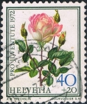 Stamps Switzerland -  PRO JUVENTUD 1972. ROSA MADAME DIMITRIU. Y&T Nº 917