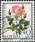 Sellos de Europa - Suiza -  PRO JUVENTUD 1972. ROSA MADAME DIMITRIU. Y&T Nº 917