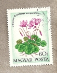 Stamps Hungary -  Cyclamen europaeum