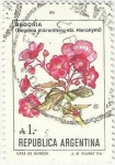 Stamps Argentina -  BEGONIA