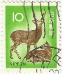 Stamps : Asia : Japan :  CIERVOS