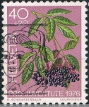 Stamps Switzerland -  PRO JUVENTUD 1976. PLANTAS MEDICINALES DEL BOSQUE. BAYA DEL SAÚCO. Y&T Nº 1015