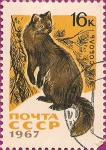 Stamps Russia -  Subastas Internacionales de piel en Leningrado. Sable.