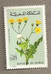 Stamps : Africa : Morocco :  Sonchus