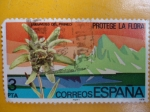 Sellos de Europa - Espa�a -  Edelweiss del Pireneo.- Proteje la Fauna.