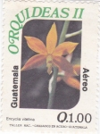 Stamps : America : Guatemala :  Orquideas