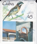 Sellos de America - Cuba -  CAYO COCO -Cabrero Spindalis Zena