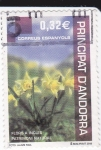 Stamps : Europe : Andorra :  Flors a incles-Patrmoni natural