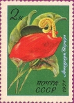 Sellos del Mundo : Europa : Rusia : Flores tropicales y subtropicales. Anthurium Scherzer.