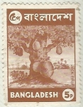 Sellos de Asia - Bangladesh -  JACK FRUIT