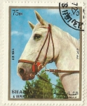 Stamps : Asia : United_Arab_Emirates :  CABALLO