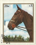Stamps United Arab Emirates -  CABALLO