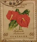 Stamps Colombia -  antlurium andranum 1964